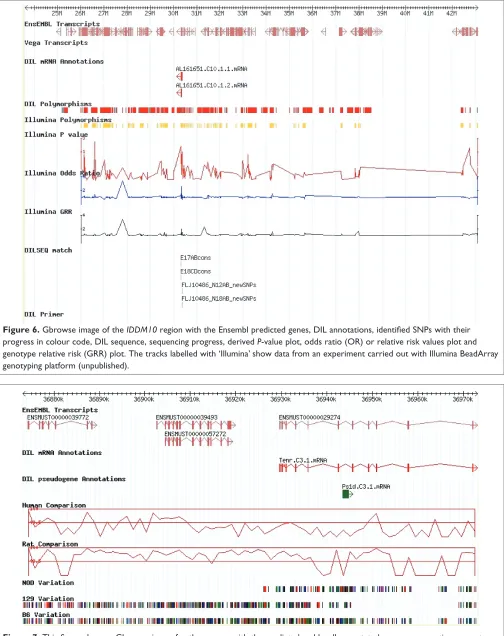Figure 6. Gbrowse image of the IDDM10 region with the Ensembl predicted genes, DIL annotations, identiﬁed SNPs with their
