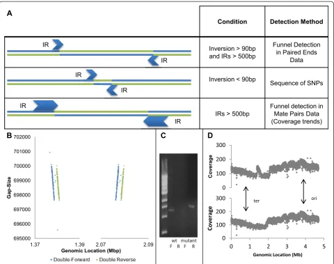 Figure 5 Detection of inversions of different sizes. (A) A summary of all inversion detection techniques presented in this paper and theconditions in which they are applicable