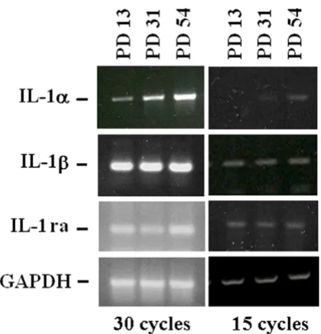 Figure 3tHUVECIL-1α, IL-1IL-1α, IL-1