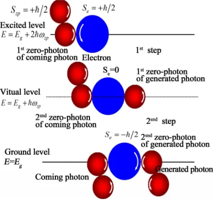 Figure 8. Process of stimulated emission. 