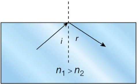 Figure 1 Total internal reflection