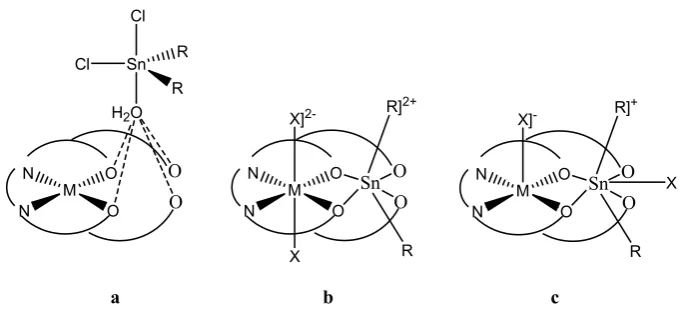 Figure 1. Schematic representation of the structures of the adducts from the reactions of SnR2X2 (R = organo group; X = halide, thiocyanate, or nitrate) with divalent metal (M) 3-methoxysalicylaldiimine complexes