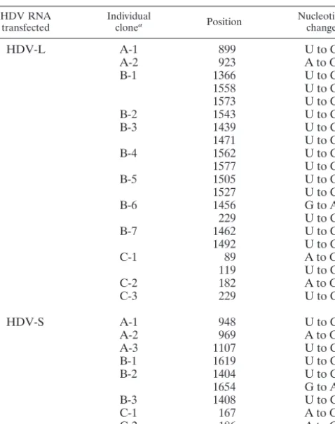 TABLE 1. Summary of mutations detected in HDV RNA 1 dayafter transfection