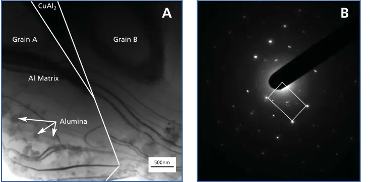 Figure 5A.Nanosize Al2O3particles embedded in cast aluminum matrix. 
