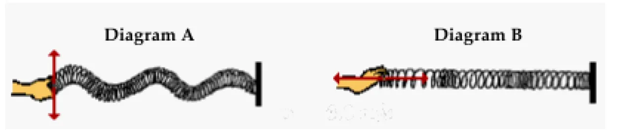 Diagram A shows a ____ pulse and diagram B shows a ____ pulse. a.  longitudinal, transverse b