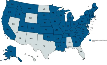 Figure 1.4: Japanees Knowtweed affected states of the USA(image reproduced from [3] usingmapping tool [2])