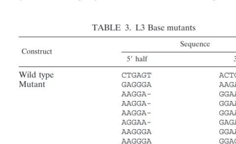 TABLE 2. L3 Mid mutants