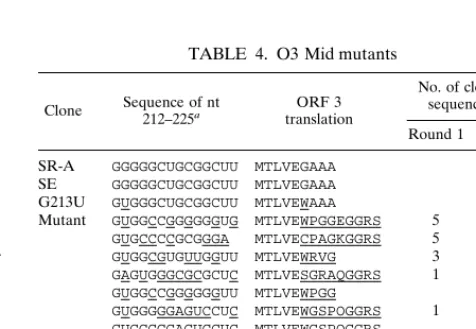 FIG. 6. Recombinant L3 Stem mutants. (A) Sequences of nt 213 and 239 to 298 in the wild-type virus and indicated mutants