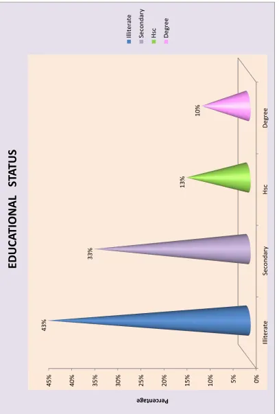 Fig  5: Percentage  Distribution  of  Demographic  Variable  of  Educational  Status  of  Obese  Women  With  Joint  Pain 