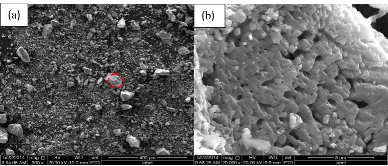 Figure 1. Carbon sphere morphology (a) and surface functional groups (b). 