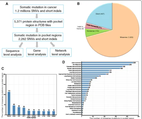 Figure 1 Computational workflow and general summary. (A) The protein pocket-based integrative analysis workflow
