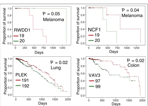 Figure 4 The heat map of genes harboring somatic mutations that were significantly enriched in protein pocket regions