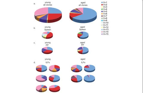 Figure 6 ILFs from young and aged mice contain a B-lymphocyte repertoire that is reflective of the systemic B lymphocyte pool; theAnalysis of all clones identified from the young (left) and aged mice (right) revealed a similar preferential usage of VVPP (p