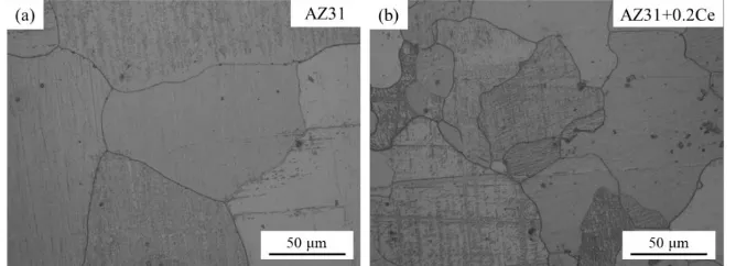 Fig. 1 shows the optical micrographs of the AZ31 and AZ31+0.2Ce alloys. It can be seen that the grain size of AZ31 decreased with 0.2 wt.% addition of Ce