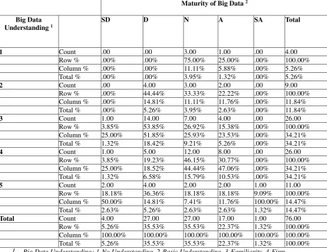 Table 13:  Big Data Understanding by Assessment of the Maturity of Big Data - Raw Data 