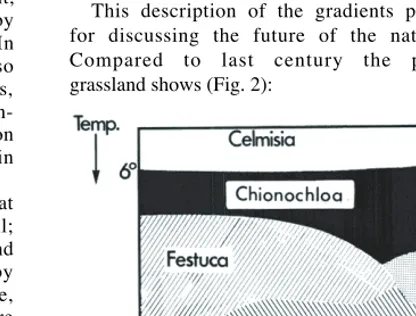 Figure 1.Grasslands are bounded by Celmisia herbfields at