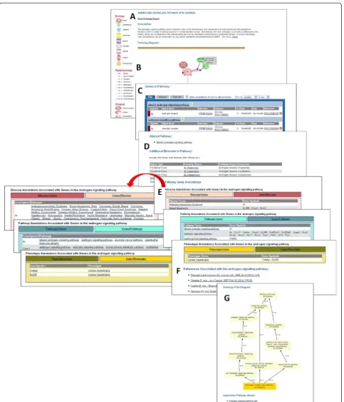 Figure 2 Updated pathway page.elements table. (the pathway. ( (A) Expandable description