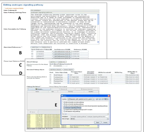 Figure 4 Creation/Edit interface. (A) Description entry/editing. (B) Reference entry and conversion