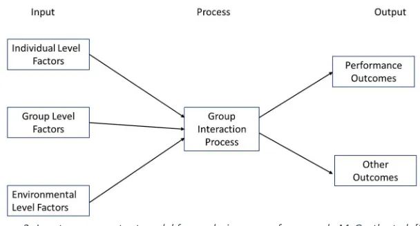 Figure 2- Input process output model for analyzing group framework, McGrath et al. [22] 