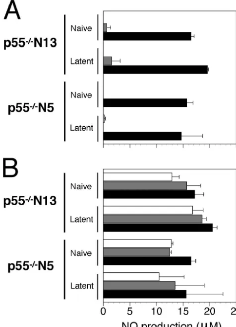 TABLE 4. Impaired HSV-1 reactivation in p55�/� N5 micea