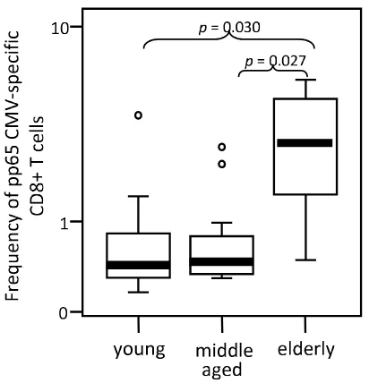 Figure 2CMVpp65-specific CD8 T cellsElderly individuals show an increased frequency of Elderly individuals show an increased frequency of CMVpp65-specific CD8 T cells