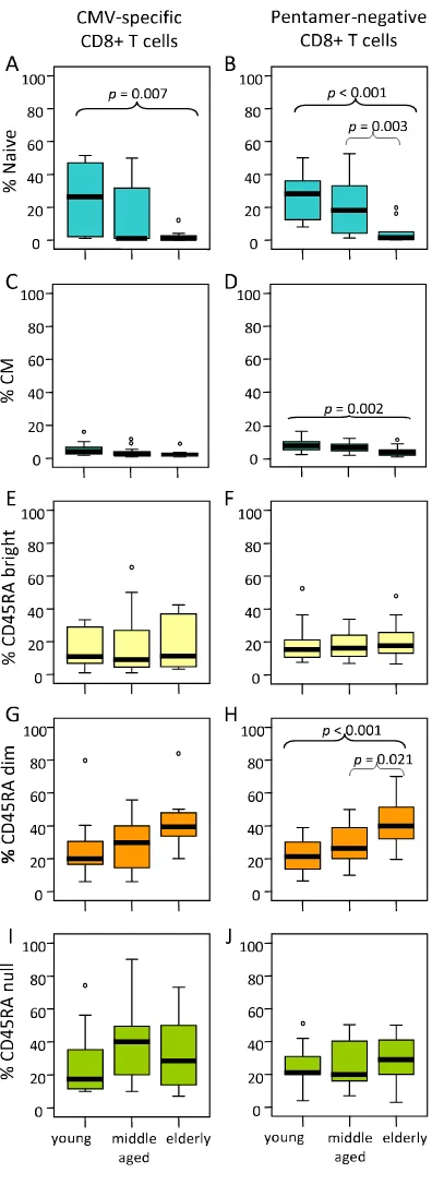 Figure 3Influence of age on CD8 T cell subset distributionwere subdivided into naive, CM, EMRAInfluence of age on CD8 T cell subset distribution