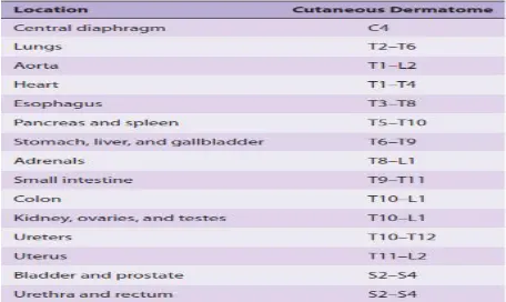 Table (1) cutaneous dermatomal distribution(12)