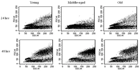 Table 1: Aged B cells are able to form blast cells after 48 hours.