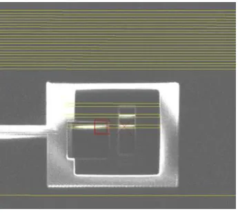Figure 6. The FIB image. 