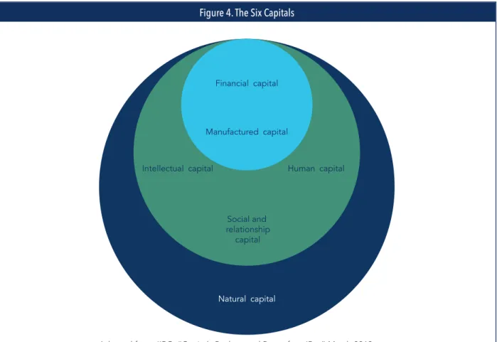 Figure 4. The Six Capitals