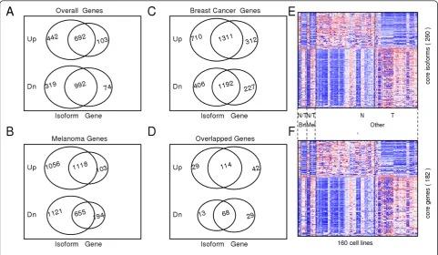Figure 3 Venn diagram showing the overlapping genes that were significantly upregulated (Up) or downregulated (Dn) either at genelevel or isoform level in cancer