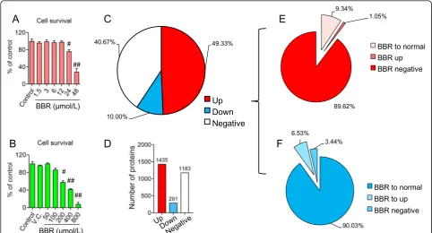 Table 2 The primary antibodies used for the protein expression in the study