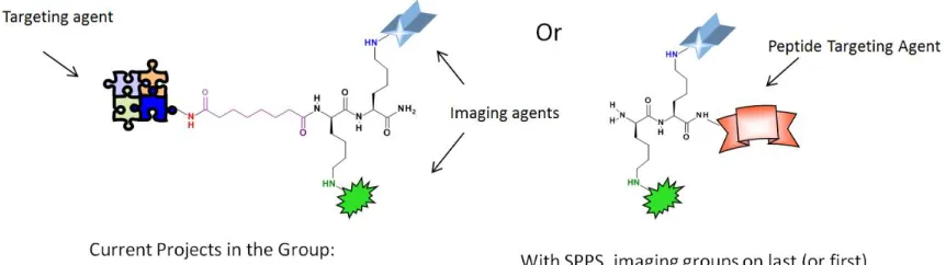 Figure 1: Synthesis of TMIAs using solution phase synthesis (left) and SPPS (right) 