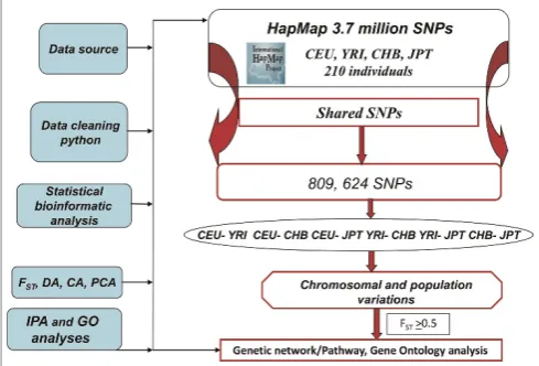 Figure 1. Schematic presentation of single nucleotidepolymorphism (SNP) mining, multivariate chromosomal andpopulation diversity and network analysis strategies