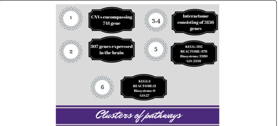Fig. 2 Intermediate results before pathway clustering