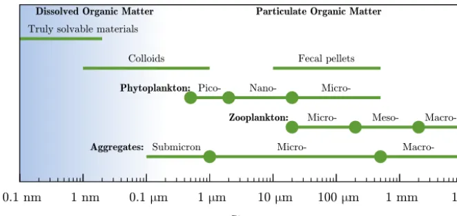 Figure 1. Size and classiﬁcation of marine particles (adapted from Simon et al., 2002).