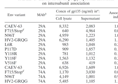 FIG. 5. Immunoprecipitation of gp135 and gp150 envelope precur-sor by MAbs. Supernatants of 293T cells expressing full-length (lanes
