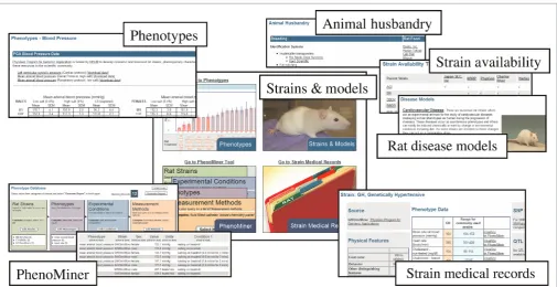 Figure 2. RGD’s phenotypes and models portal is a valuable resource for anyone either currently working with, or considering workingwith, the rat as a disease model