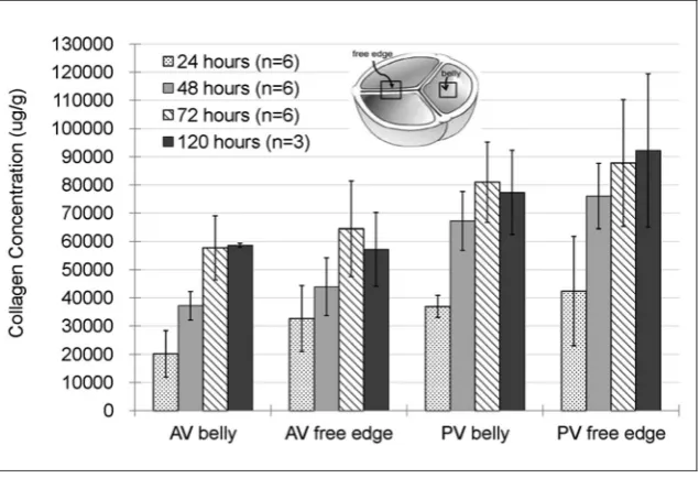 Figure 6. Collagen concentration at four different time points (24, 48, 72, and 120 h)