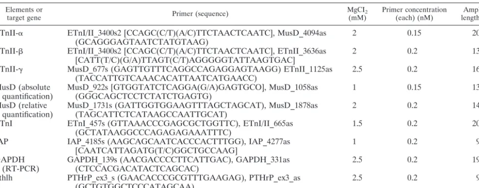 TABLE 1. Oligonucleotides used for real-time PCR