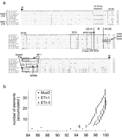 FIG. 1. Similarity of ETn and MusD LTRs. (a) Alignment of LTR sequences. 5�(E217 at position 31588150