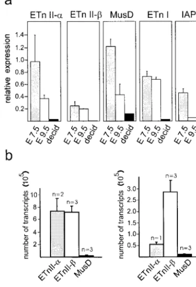 FIG. 4. Expression of retroviral elements in embryos and decidua.(a) Relative RNA levels of different elements in 7.5- and 9.5-day-old