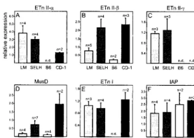 FIG. 5. Comparison of retroviral expression between 7.5-day-oldembryos of different mouse strains
