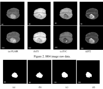 Figure 2. H04 image raw data. 