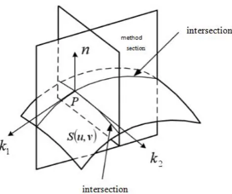 Figure 1. Normal section and principal curvature. 
