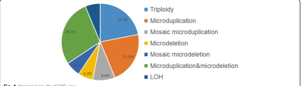 Fig. 4 Abnormal results of SNP-array