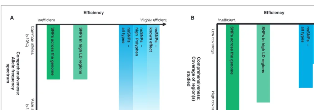 Figure 1. Association study approaches: Efﬁciency versus comprehensiveness. Studies vary in their efﬁciency (thecoverage of the full genome.number of other SNPs (ie SNPs in high LD regions) would be more efﬁcient (but less comprehensive) than a study aimin