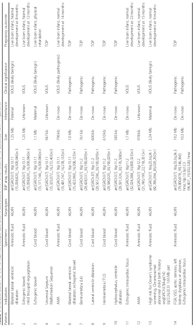 Table 1 Characterization of the 15 submicroscopic aberrations associated with chromosome 16 detected from 14 patients