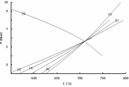 Figure 7. Stable intersection involving muscovite, paragonite, clinochlore, phlogopite, eastonite, albite, quartz and  H2O for M2 assemblage