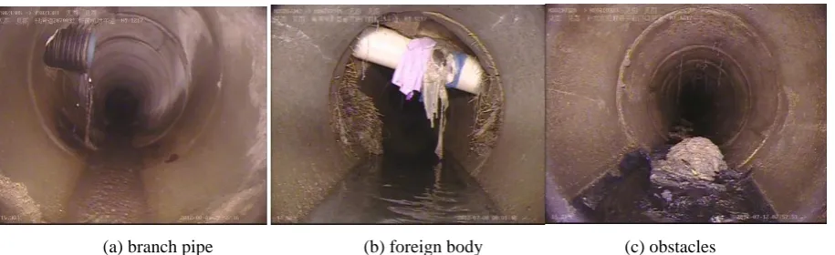 Figure 2. Sample images used for training and testing. 